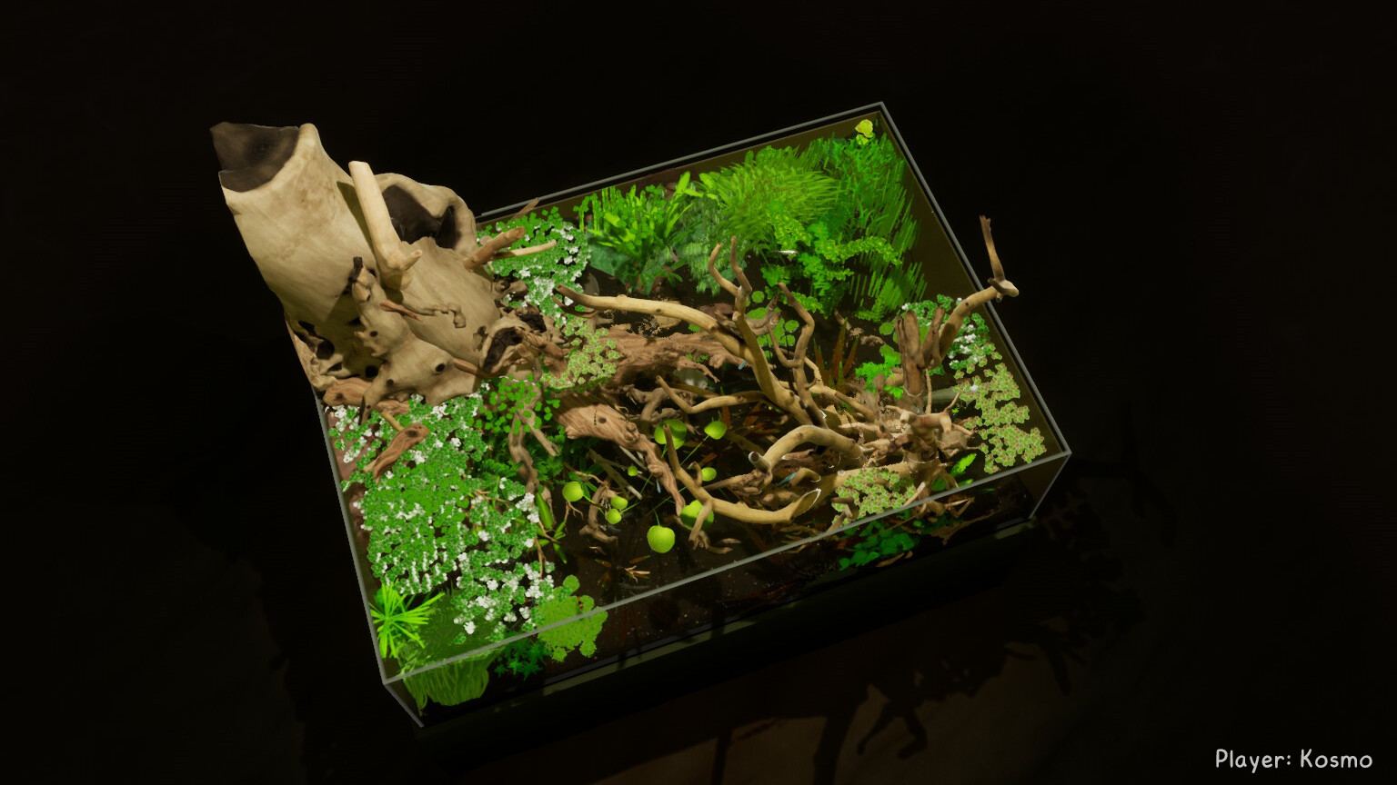 《養魚模擬器》v00.03.24中文版