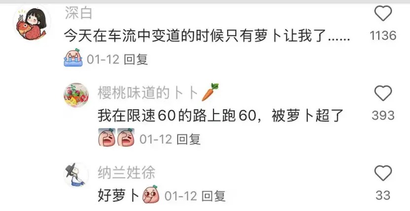 百度蘿卜3.jpg