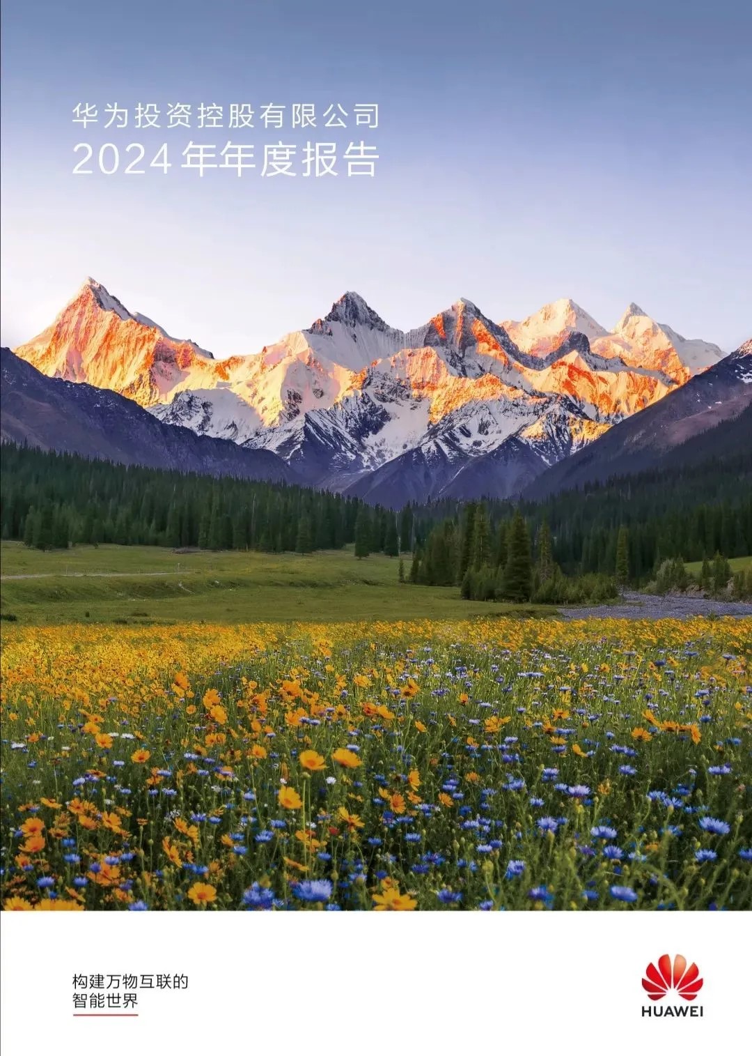 華為1.jpg