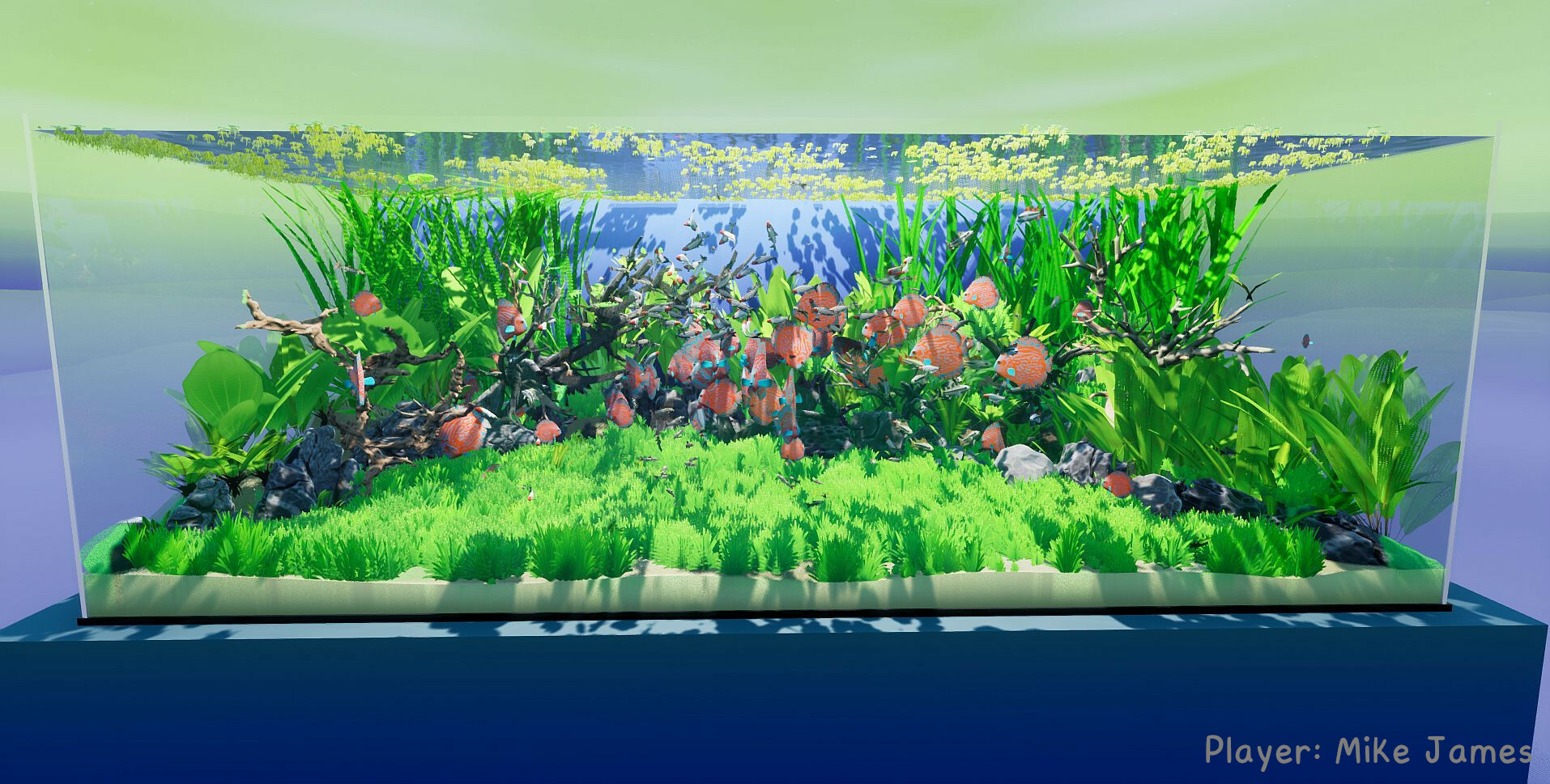 《養魚模擬器》v00.03.24中文版