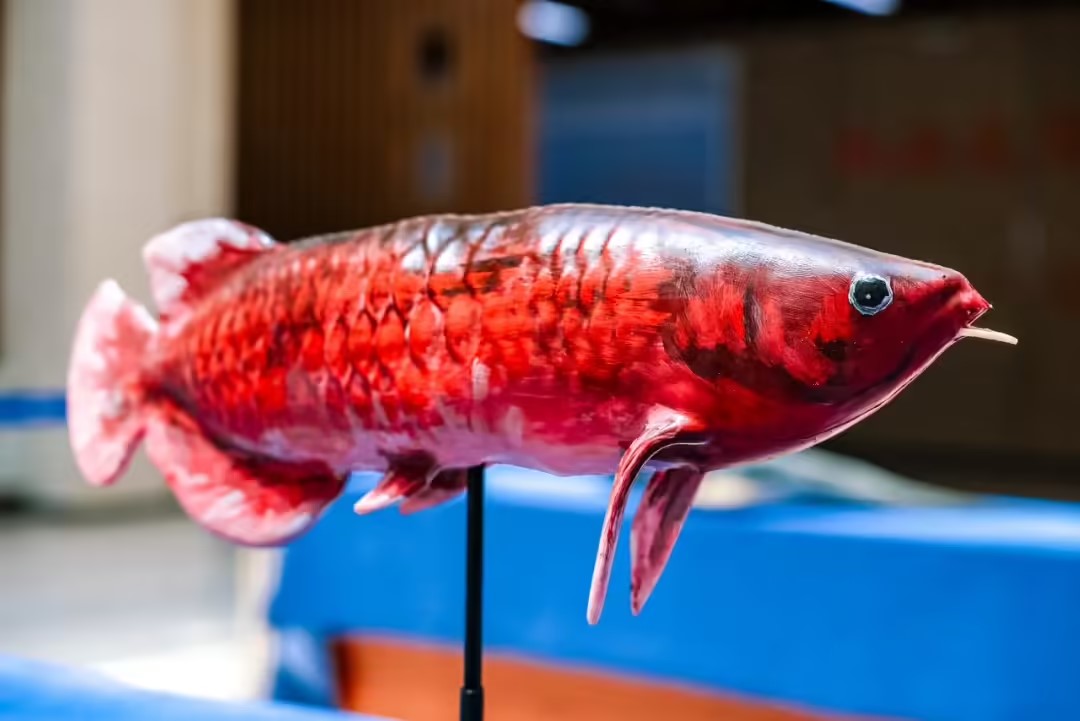 仿生魚2.jpg