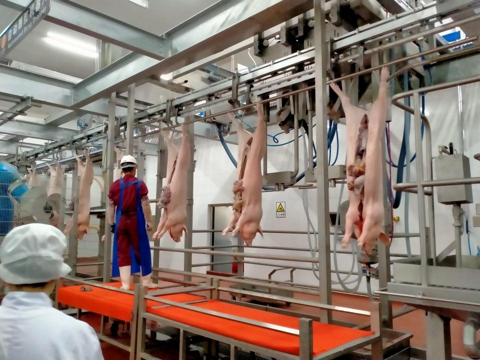 參觀學習了公司的世界級現代化屠宰加工廠