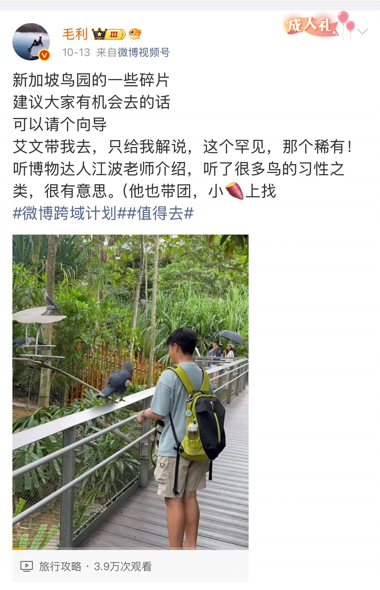 從“內容提供者”到“興趣聚合者”：跨域博主如何重構創作生命力