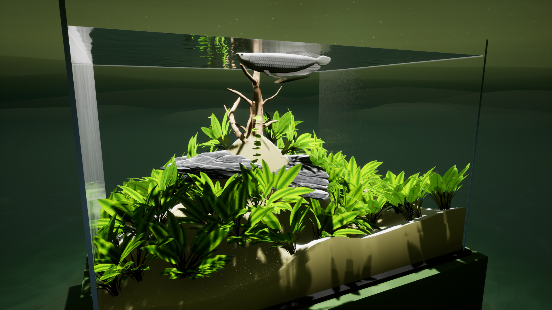 《養(yǎng)魚模擬器》v00.03.24中文版